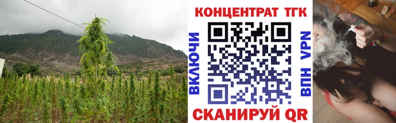 Купить где  Чухлома  ТГК концентрат 