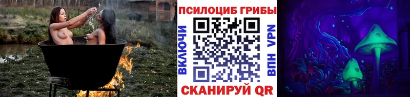 Купить где  Чухлома  Псилоцибиновые грибы прущие грибы 